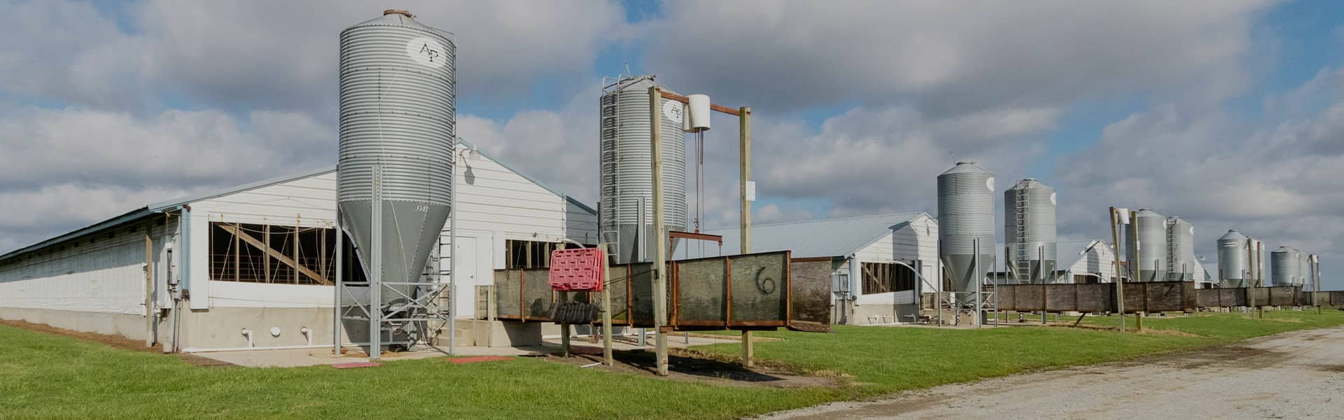 Feed Safety & Efficiency